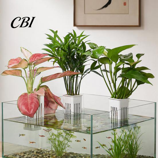 Permeable Plant Cup Tank Container, Hydroponic Holder, Wall Mounted Holder Aquatic Pot, Aquarium Planter Pot Fish Decoration Saving