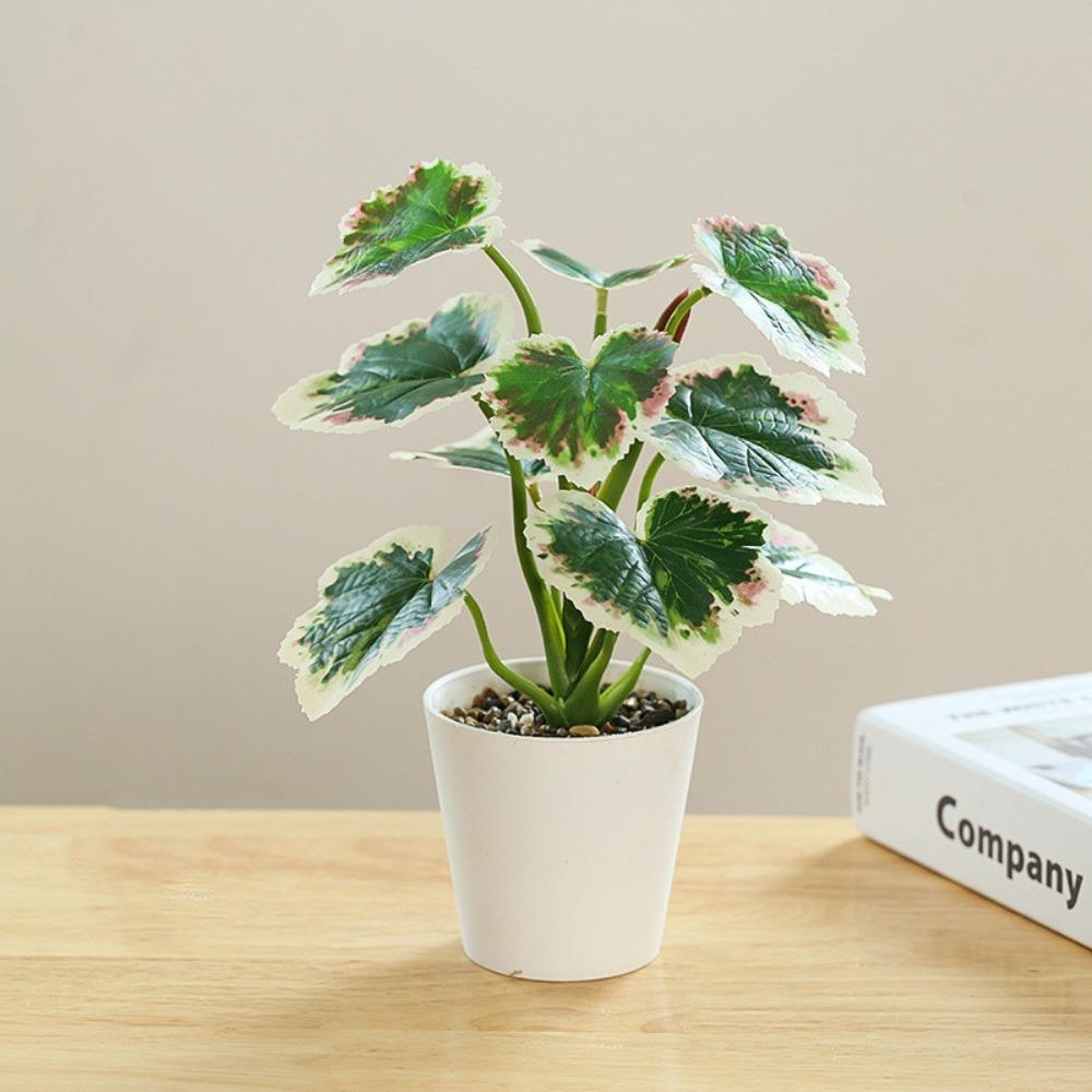 green evergreen foliage potted table ornament hotel guest room shelf display decor