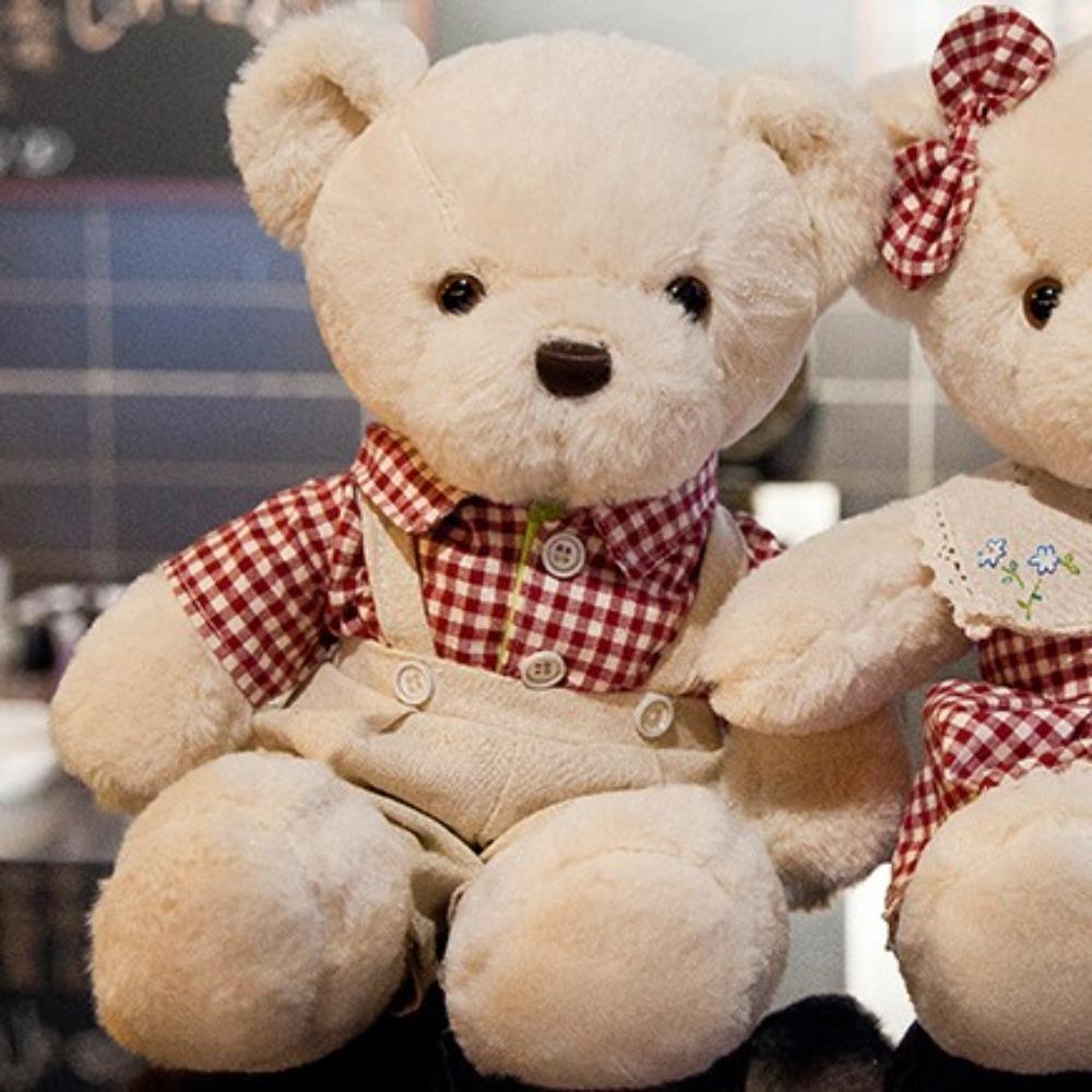 Cartoon Plush Bear Doll Dress Up Stuffed Animal Pillow Fluffy Bear Plush Toy  Children's Gift