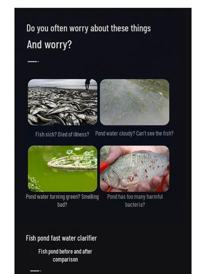 Fish Pond Water Filtration and Circulation System