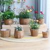 Woven Er Basket Rattan Braided Succulent Storage Garden Plant Pot Manual Fruit Organizer Wedding Party Ornaments