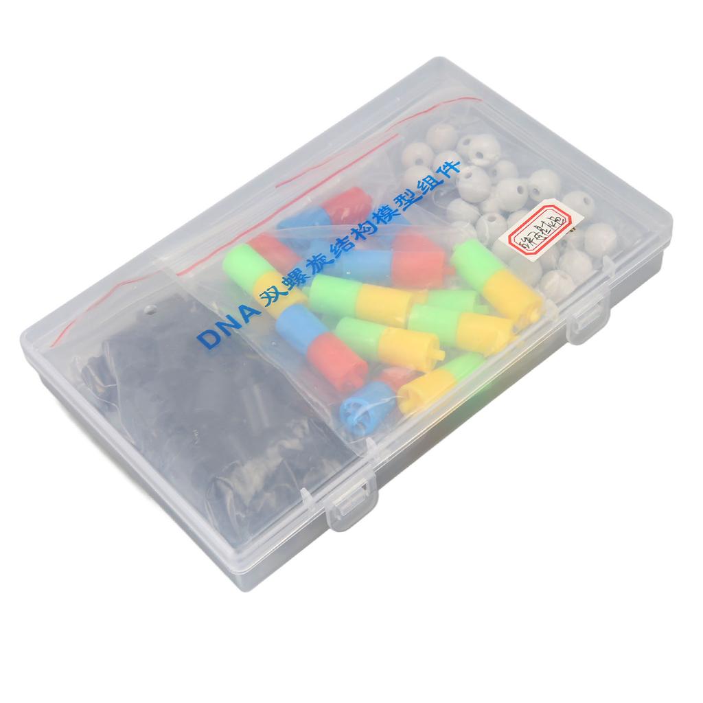 Модели структуры двойной спирали ДНК Образовательный комплект моделей двойной спирали ДНК Биологическая наука Популярный