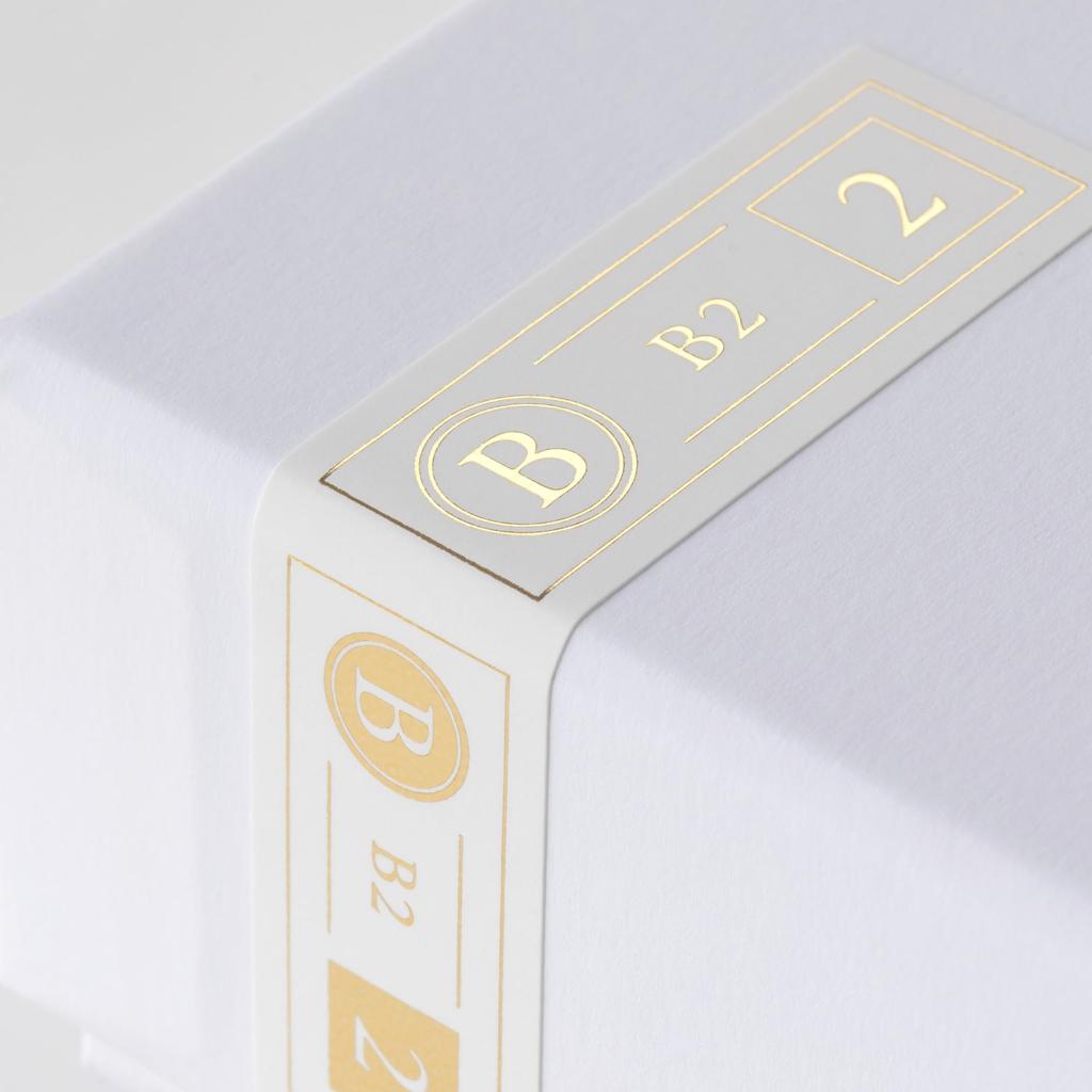 Проводные наушники канального типа B2 серии B с уравновешенным якорем [FI-B2BSSD]