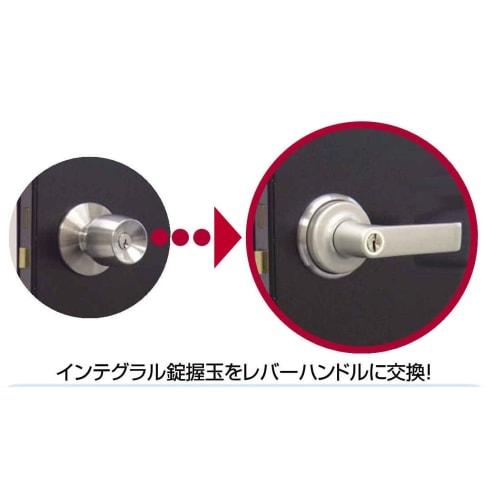AGENT Replacement Lever Handle LS-200