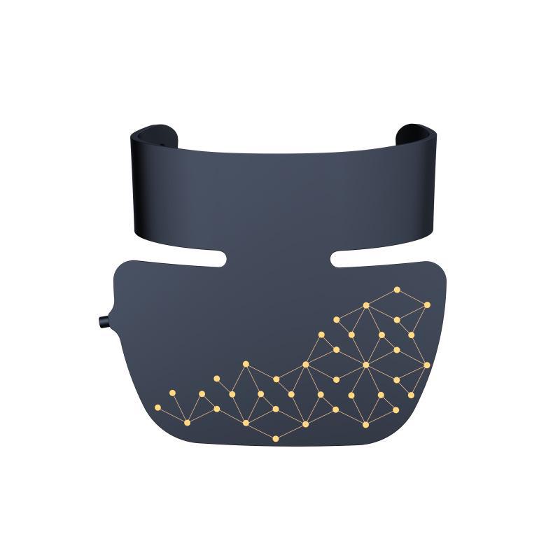 LED Neck Rejuvenation Device: Red & Blue Light Photon Therapy for Home Use