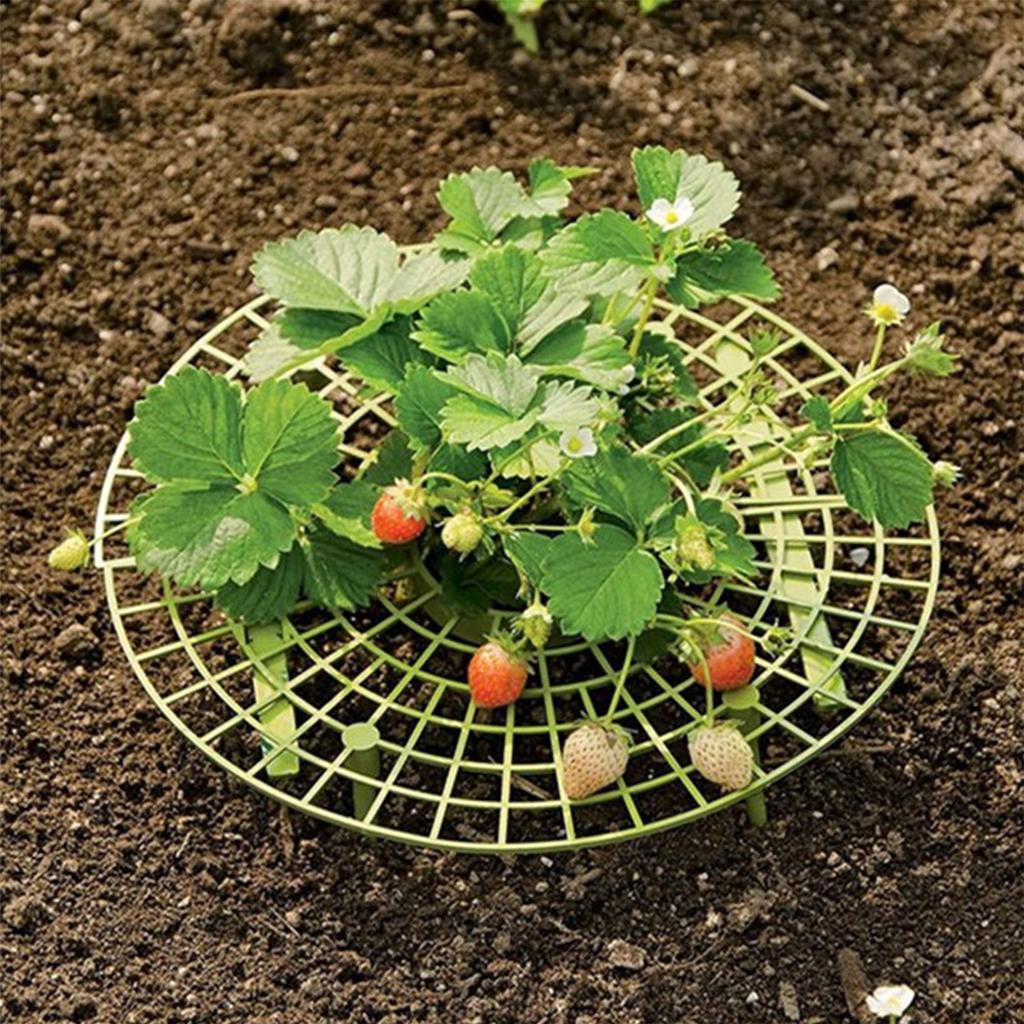 Strawberry Frame Holder, 10Pcs Balcony Garden Fruit Stand Gardening Strawberry Plant Frame Keeps Fruit Clean
