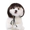 Adorable Pet Wig With Bangs Cute Bob Style For Cats And Dogs In Vibrant Colors
