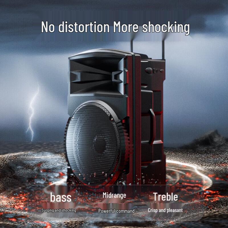 Newmine N521 Portable 12-inch Outdoor Karaoke Speaker with Dual Mics