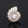 Exquisite Conch Pearl Brooch for Women, Creative and Niche Design Sense, Marine Creature Coat Suit Pin