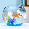 Transparent Round Glass Fish Tank for Office or Living Room - Small Desktop Aquarium for Goldfish or Turtles