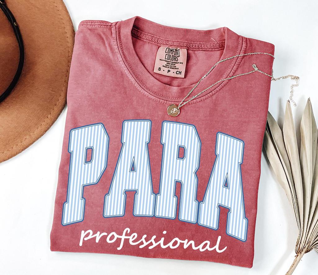 Comfort Colors Para Professional Shirt • Para Pro Striped Tshirt • Teacher Aide Back To School Tees • Para Professional Appreciation Gift