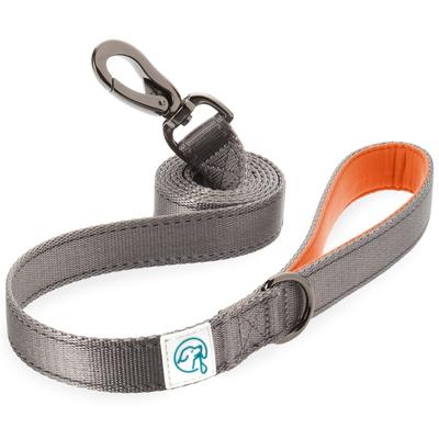 Embark Pets Adventure Собачий поводок Длина 150 см x Ширина 2,5 см, Оранжевый