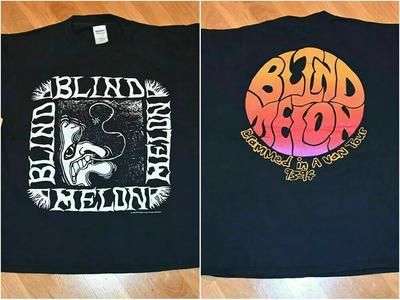 ФУТБОЛКА BLIND MELON КОНЦЕРТ 1993-94 ТУР РОК ГРАНЖ ГРУППА ФУТБОЛКА Унисекс Футболка