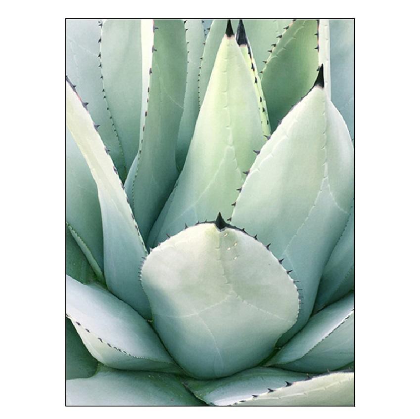 Белый тюльпан, зеленые суккуленты, алоэ монстера, растение, художественный плакат на скандинавскую тему, живопись на холсте и настенные панно для декора гостиной