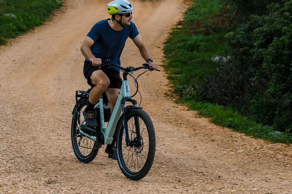 DERUIZ Electrice Bike Quartz SUV Ebike 27.5'' MTB Electric Bike for Adults,250W Motor,48V13.4Ah Battery,Hydraulic Disc Brakes Up to 161KM