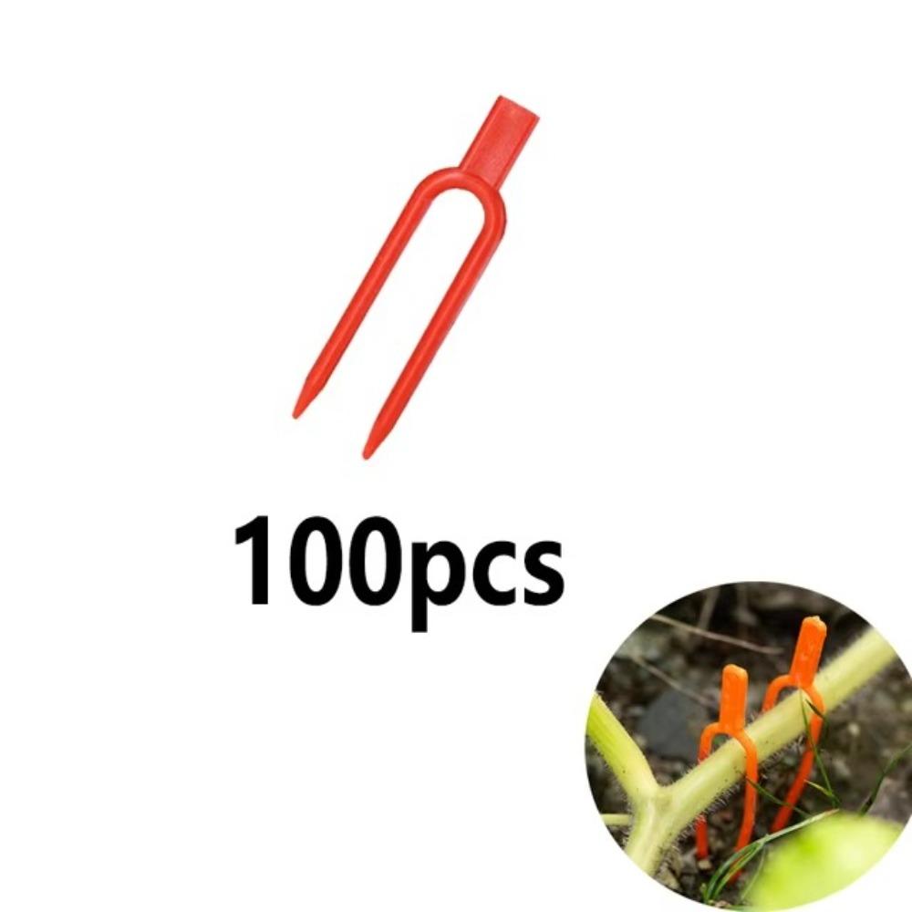 100 шт. вилки для посадки садовой клубники 50/65 см, фиксатор лозы, многоразовый фиксатор стебля растения