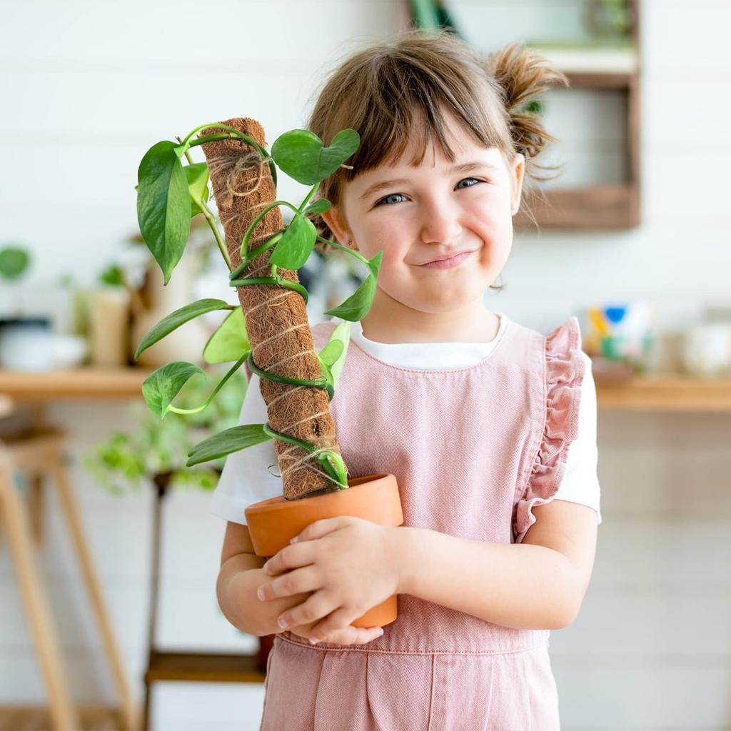 Monstera 30cm Moss Stick Plant Pole for Climbing Plants Coir Totem Plant Support for Indoor Potted Plants Train Creeper Plants Grow Upwards