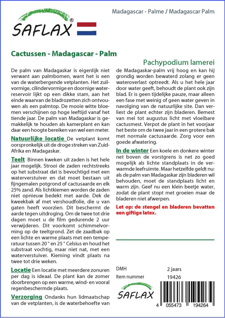 SAFLAX Garden in the Bag - Мадагаскарская пальма - 10 семян - С субстратом в подходящем пакете - Pachypodium lamerei