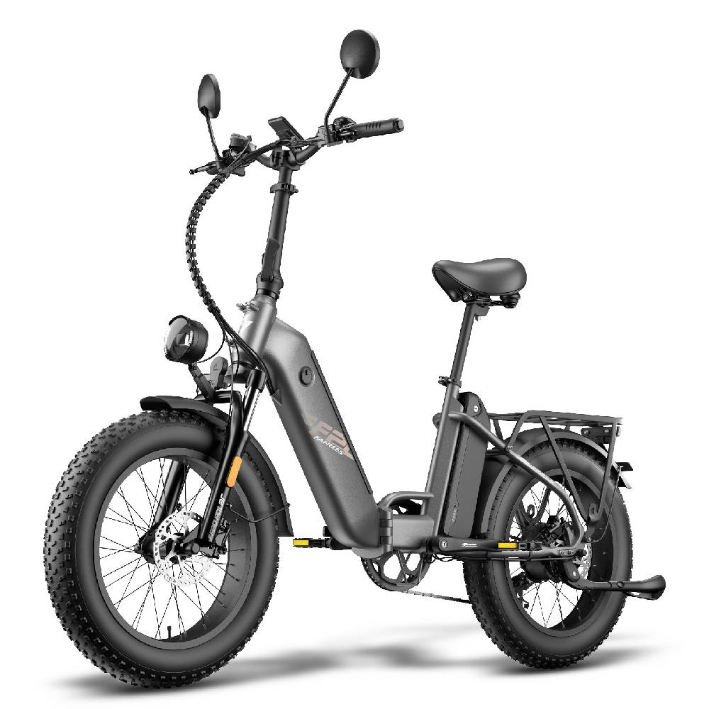 Electric Bicycle Fafrees FF20 Polar 20" 500W Motor Dual Disc Brakes 48V 24AH LCD Display Top Speed 45Km/h Max Load 150kg