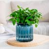 Tabletop Flower Pot Home Garden Bonsai Decor Succulent Hydroponic Plants Pot Self Watering Flowerpot Indoor Mini Planter Pots