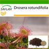 Росянка круглолистная - 50 семян - С горшечным субстратом для лучшего выращивания - Drosera rotundifolia