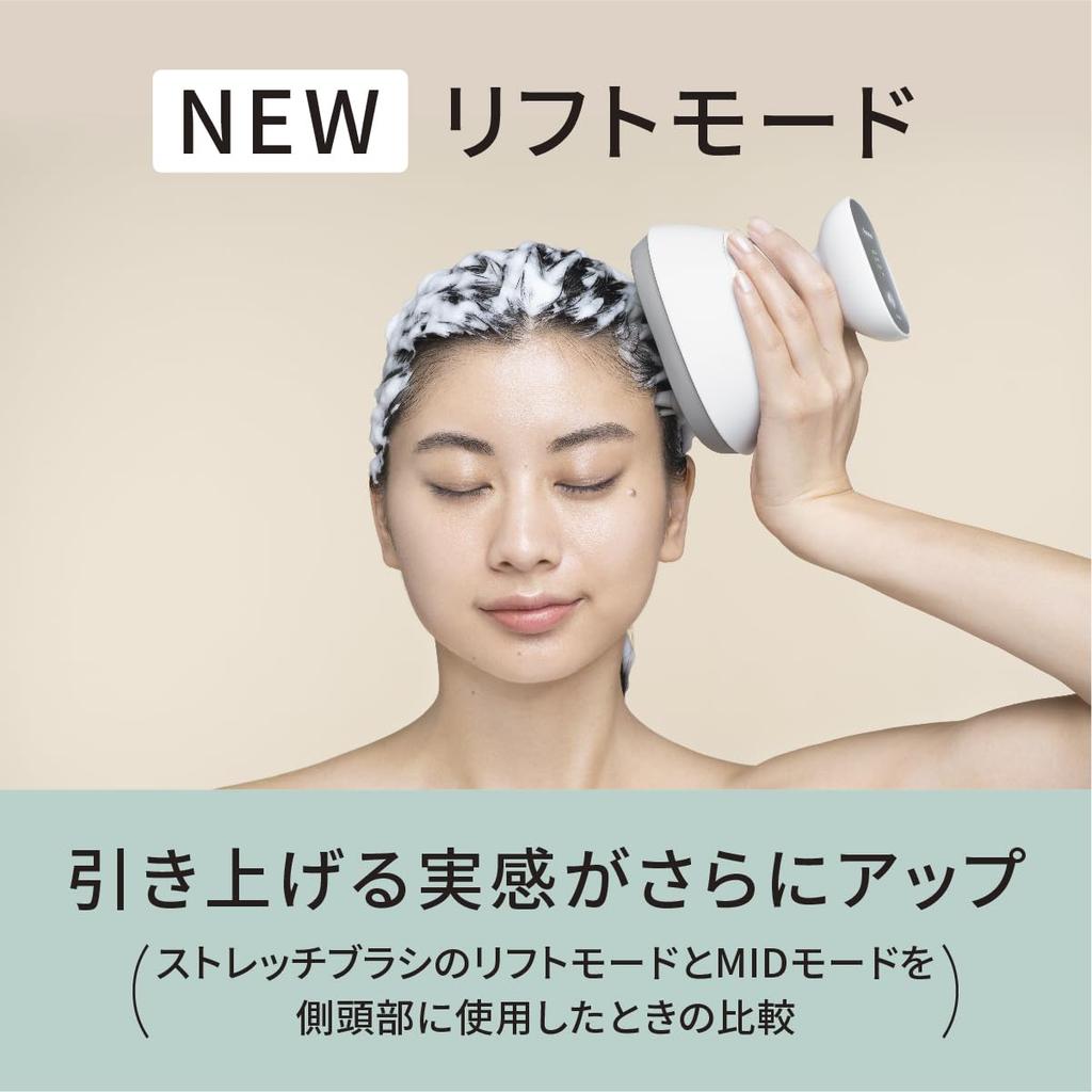 Panasonic Scalp Esthe Lift Mode Close Extrusion Brush Stretch Brush 3 уровня скорости Silver Tone EH-HE0J-S