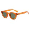 Fashion New Female Retro Multi Color Sunglasses Oval Frame Thick Frame Personality Simple Design Sun Glasses Male