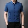 Мужская бесшовная рубашка с короткими рукавами, летняя, тонкая, для молодежи и мужчин среднего возраста, деловая, повседневная, из нейлона и эластичной ткани, не требующая глажки