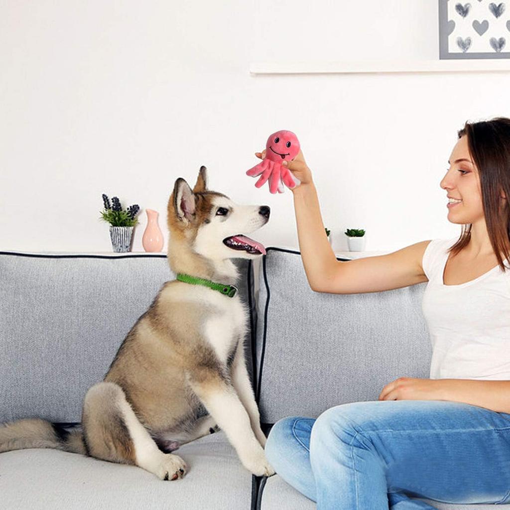 LEGEND SANDY Игрушки-пищалки из плюша для собак, набор из 12 маленьких плюшевых щенков-игрушек для жевания с пищалками, милые мягкие игрушки для домашних животных для маленьких и средних собак, щенков, Звуки,