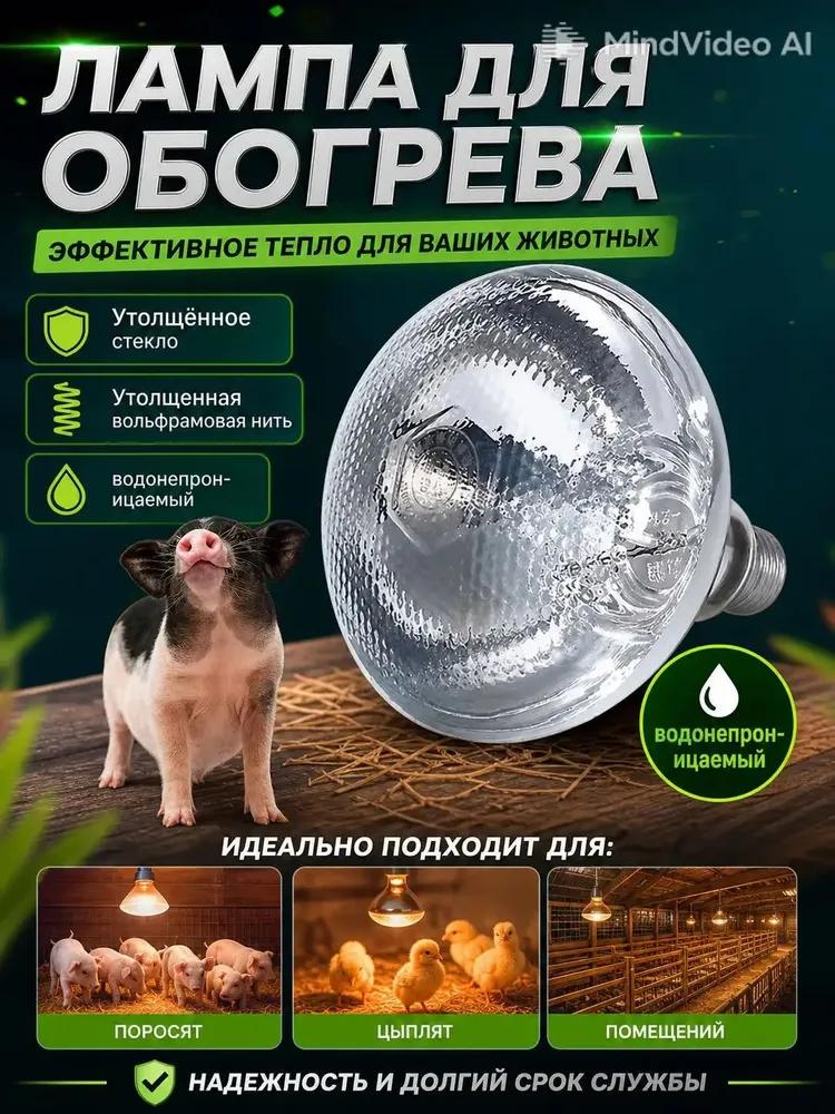 Livestock Heating Equipment