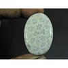 28X45X05MM Изготовление ювелирных изделий Натуральный ископаемый коралл Овальный кабошон Россыпной драгоценный камень G-125