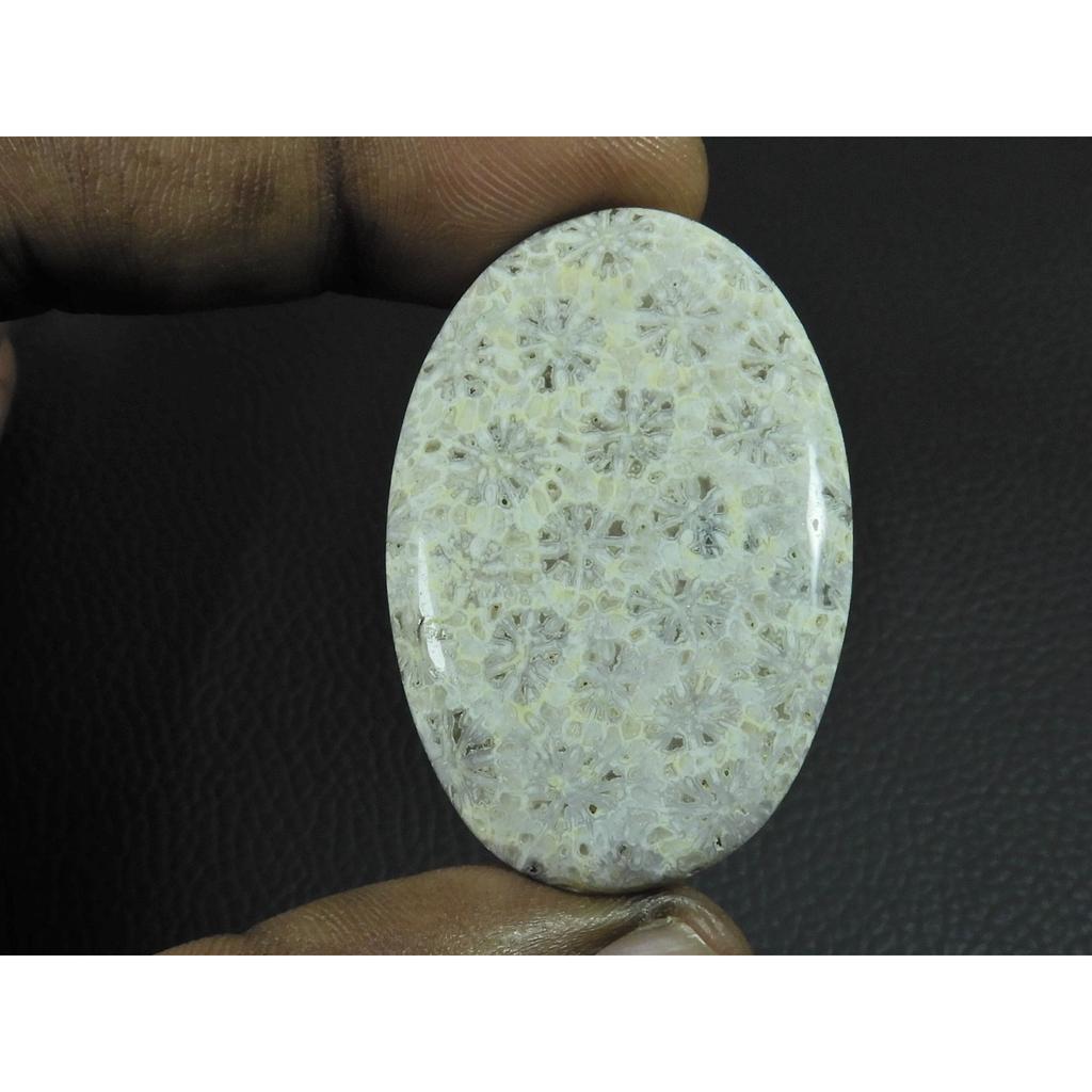 28X45X05MM Изготовление ювелирных изделий Натуральный ископаемый коралл Овальный кабошон Россыпной драгоценный камень G-125
