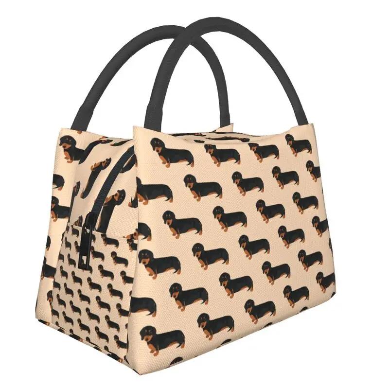 Симпатичный узор таксы, изолированный ланч-бокс для женщин, барсучья колбаса, охладитель для собак Wiener, термобокс для еды, офис