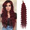 LISI HAIR Synthetic Long Curly Wavy Croche Hair Ocean Wave Deep Wave Crochet Heat-resistant Fiber Crochet Hair For Women