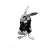 The White Rabbit Drawing Tinplate Poster Customized Wall Art Retro Vintage Metal Signs for Fans Interior Decoration Living Room