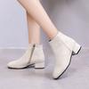 Women's Winter Boots  New Suede Dress Women Warm Boots Fashion Mid-Heel Wool Warm Women's Ankle Boots