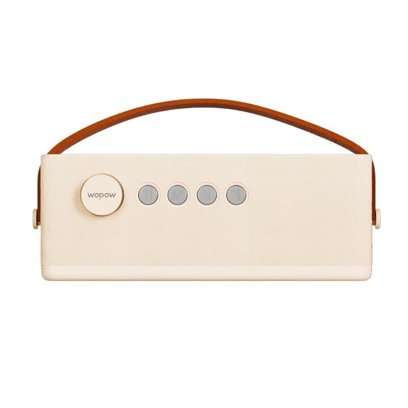 WOPOW AP09 Wireless Bluetooth 5.3 Karaoke Speaker with Dual Microphones