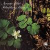 Виниловая пластинка NORMAN BLAKE  Blackberry Blossom FF047 Flying Fish 1977 США Кантри/Фолк Б/у