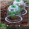 Transparent, Breathable Seedling Cover: Wind & Rainproof, Heat-Preserving Bell Cover for Fruits, Vegetables, & Flowers.