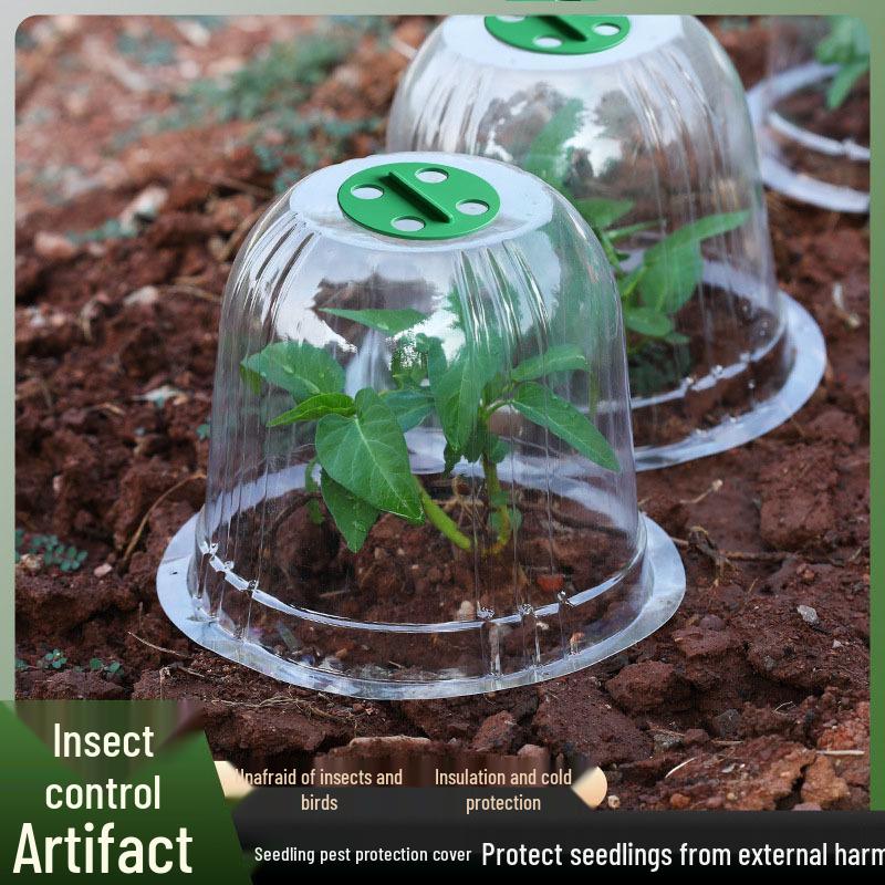 Transparent, Breathable Seedling Cover: Wind & Rainproof, Heat-Preserving Bell Cover for Fruits, Vegetables, & Flowers.