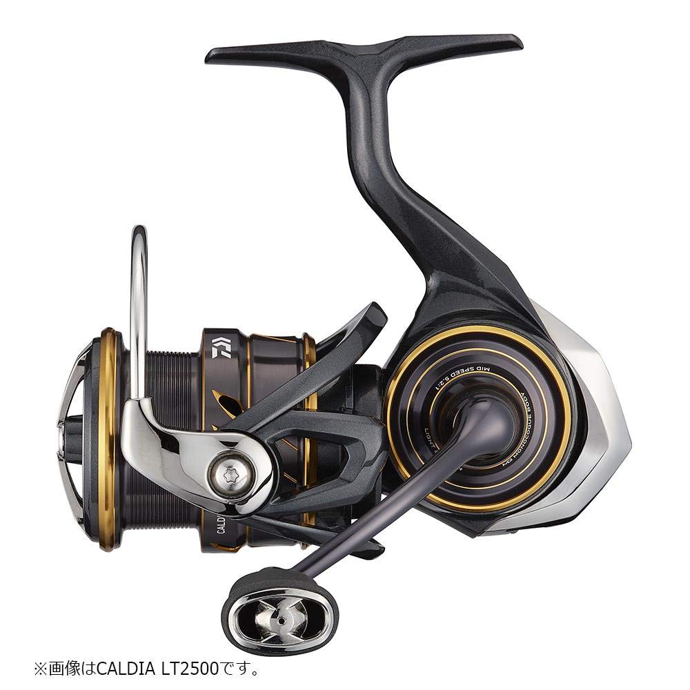 Daiwa Спиннинг 21 Caldia LT3000-CXH