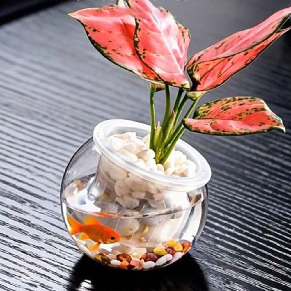Пластиковый Цветочный Горшок Прозрачный Аквариум Креативные Горшки для Растений с Автополивом Настольный