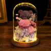 Valentine's Day Gift for Girlfriend Eternal Preserved Rose Flower Gift Box Teddy Bear Eternal Flower with Lights Gift for Women