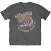 Aerosmith Unisex Adult Cheetah Print T-Shirt