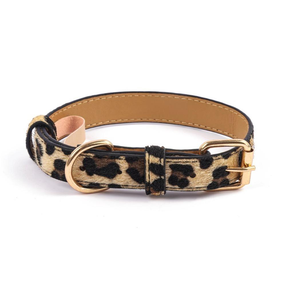 Leopard Print Dog Collar Pet Walking Leopard Dog Collar Fashionable Pet Collar  Small Medium Dogs