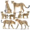 TOYMANY Набор из 8 фигурок гепардов, Модель фигурки дикого животного для родителей и детей, Реалистичная модель, Популярная игрушка, Подарок на день рождения, Рождество, Новый год