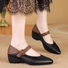 Retro Chunky Heels, Pointed Toe, Elegant Shallow Toe Single Shoes, New Wedge Heel Women's Shoes