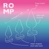 ROMP Luster Набор анальных пробок силиконовый набор анальных пробок Анальные игрушки для начинающих Стартовый набор для анальной игры 3 штуки