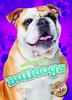 Книга Bulldogs