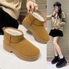 Thick-soled Snow Boots Women's New Winter Small Casual Height Increase Velvet Warm Large Cotton Shoes